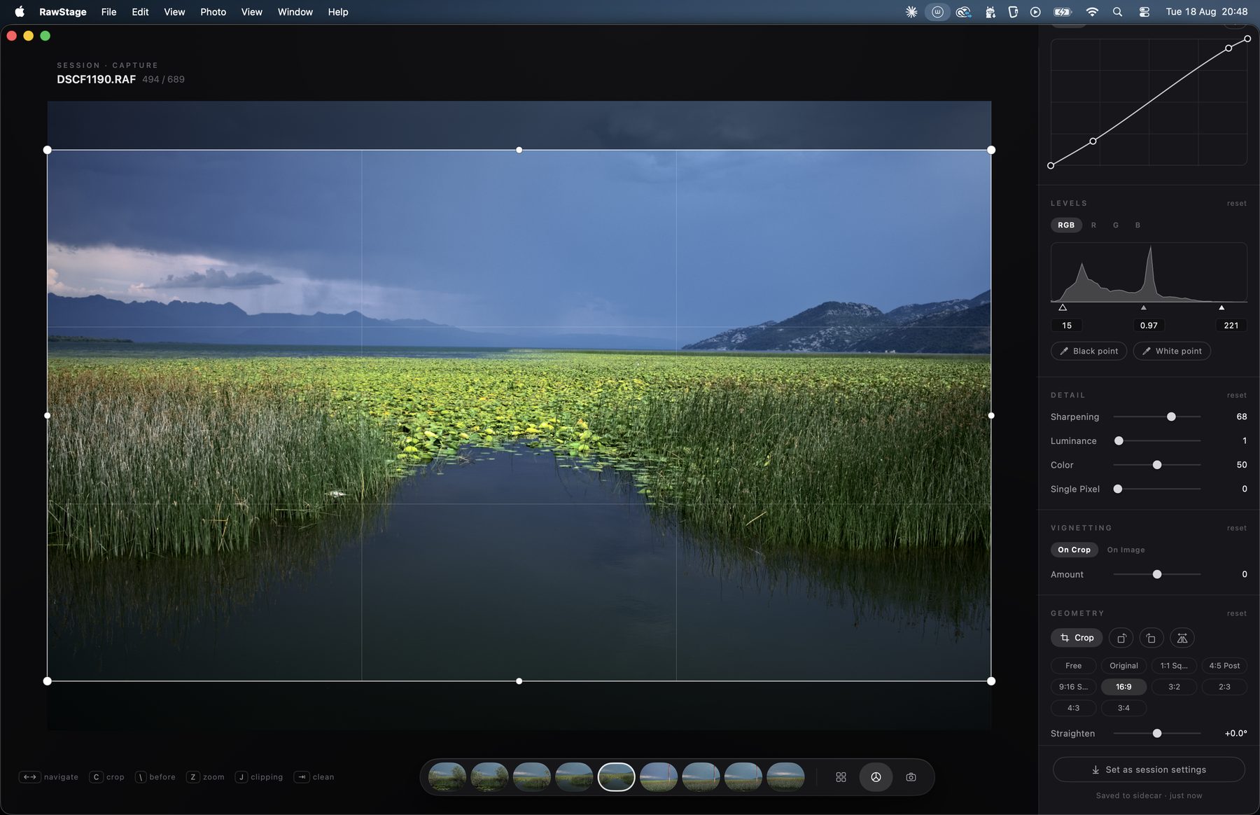 RawStage crop view — 16:9 crop with curve, levels and detail panels